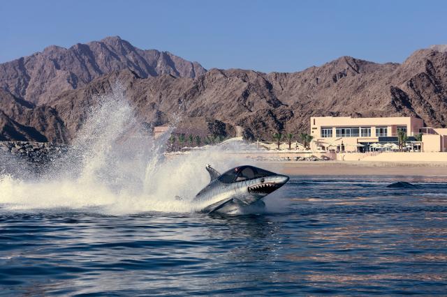 FAIRMONT FUJAIRAH - Pláž - Pláž