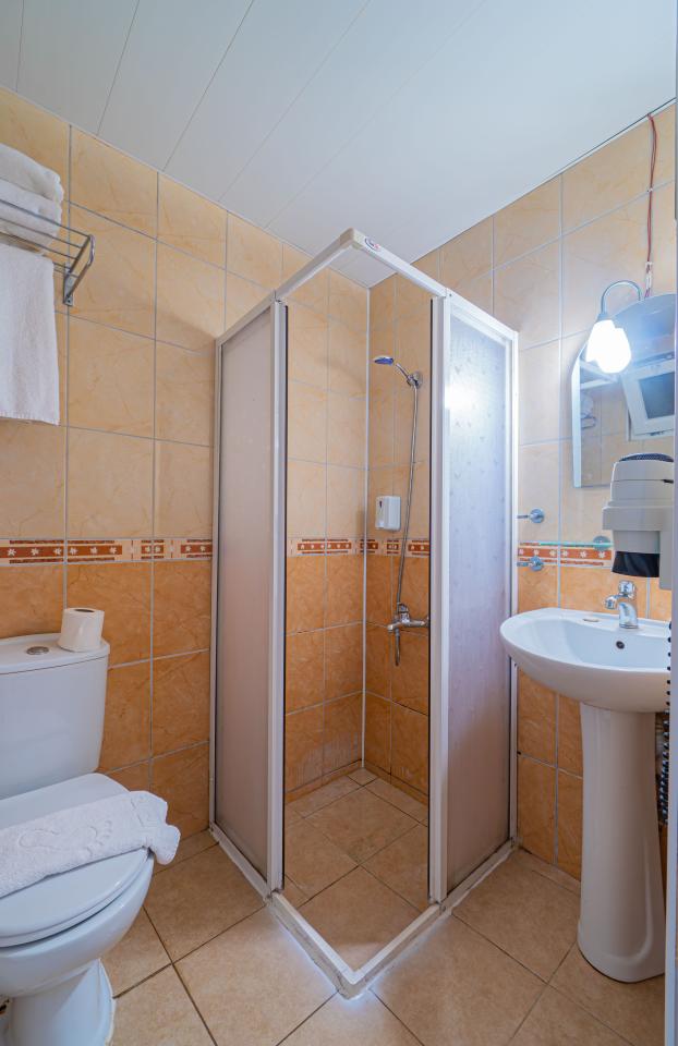 SAYANORA HOTEL - Pokoje - PARK STANDARD ROOM