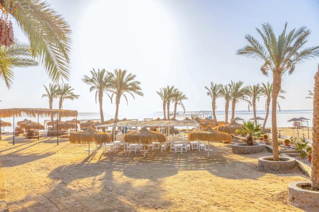 PROTELS BEACH CLUB & SPA RESORT - Pláž - Pláž