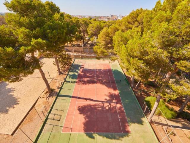 MLL PALMA BAY CLUB RESORT - Sport - Sport