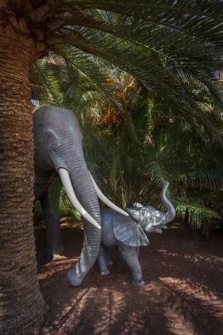 LOPESAN BAOBAB RESORT - Animace - Animace