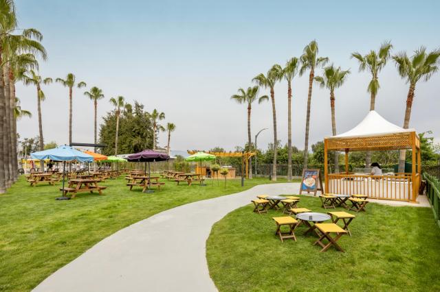 MARVIDA FAMILY ECO - Restaurace - Turkish Pancake Service