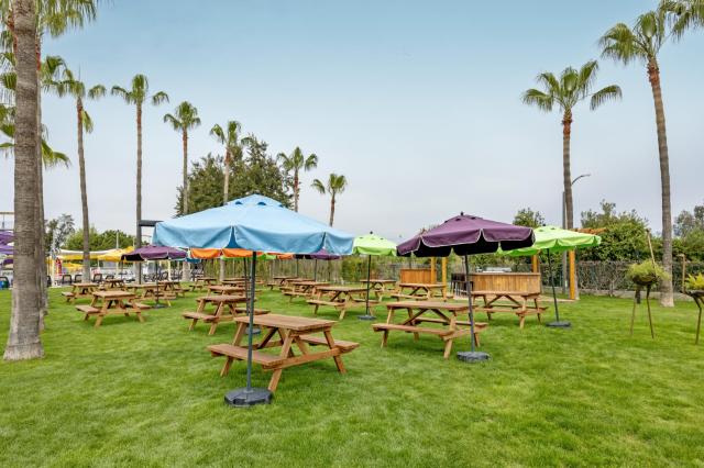 MARVIDA FAMILY ECO - Bary - Beer Garden