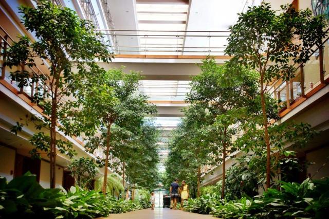GLORIA SERENITY RESORT - Obecné - Hlavní budova