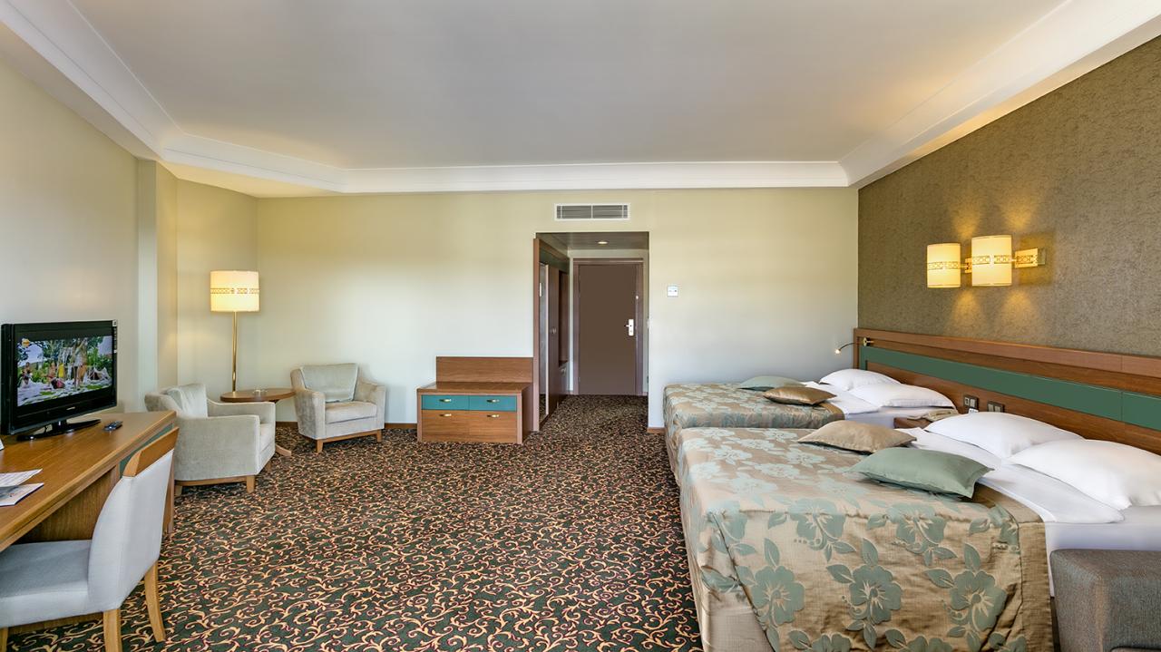OZKAYMAK SELECT RESORT HOTEL - Pokoje - STANDARD LARGE ROOM SEA