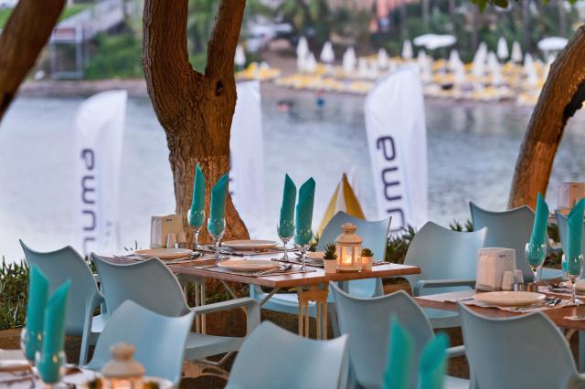 NUMA BAY EXCLUSIVE HOTEL - Restaurace - ALI BABA FISH A LA CART