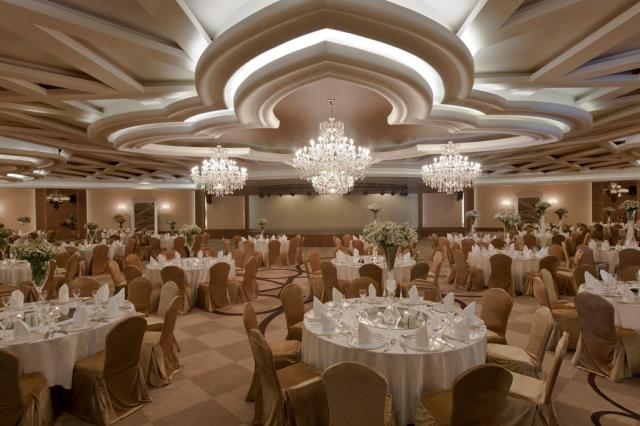 DELPHIN IMPERIAL LARA - MICE - MICE
