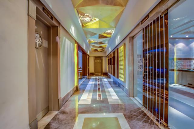 AMC ROYAL HOTEL & SPA - Lázně - Lázně