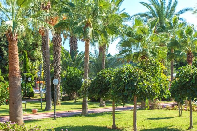 LONICERA RESORT & SPA HOTEL - Bazény - Other