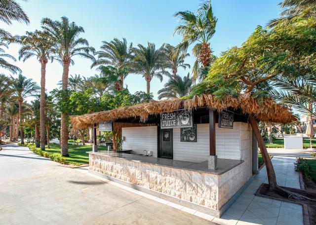 JAZ MAKADI OASIS RESORT - Bary - Beach