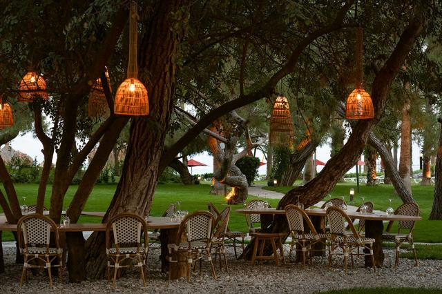 MARTI MYRA - Restaurace - CASA MYRA