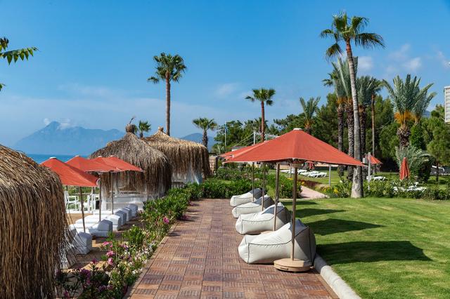 MARTI MYRA - Restaurace - CLUB PHASELIS