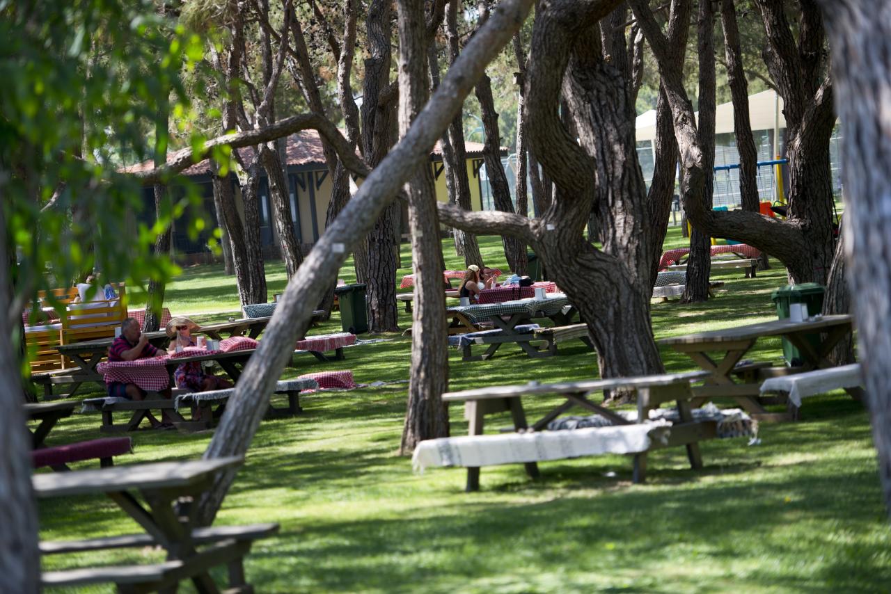 XANADU RESORT - Restaurace - Picnic / once per week