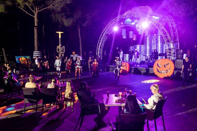 XANADU RESORT - Animace - Animace