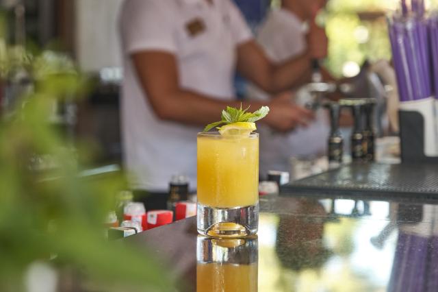 SEADEN SEA PLANET RESORT & SPA - Bary - POOL BAR