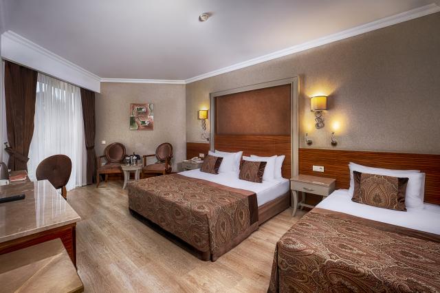 WELL PALACE SIDE - Pokoje - LARGE ROOM POOL VIEW