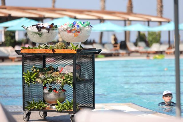 NIRVANA MEDITERRANEAN EXCELLENCE - Bary - SPLENDID BAR