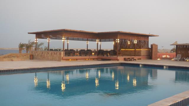 VIVA BLUE RESORT SHARM EL NAGA (adults only 12+) - Obecné - Ost