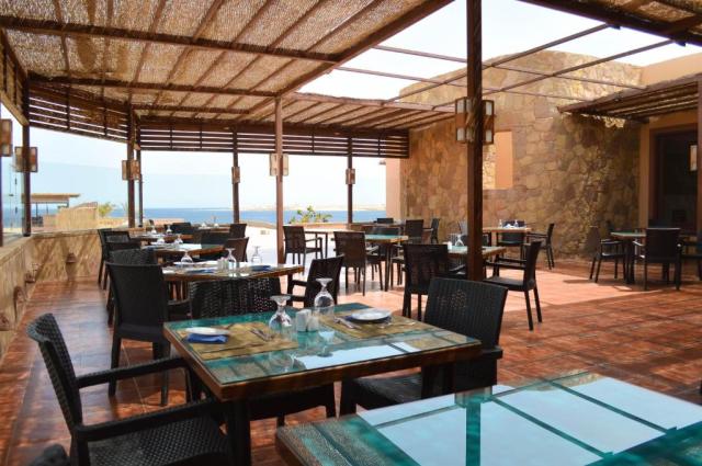 VIVA BLUE RESORT SHARM EL NAGA (adults only 12+) - Obecné - Ost