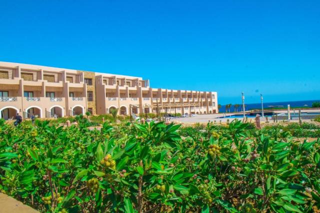 VIVA BLUE RESORT SHARM EL NAGA (adults only 12+) - Obecné - Ost