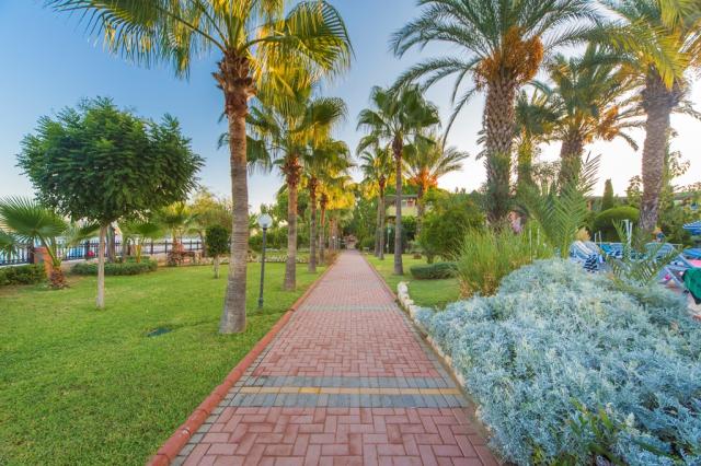 LONICERA WORLD HOTEL - Obecné - Ostatní