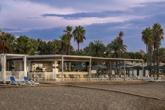 ADORA HOTEL & RESORT - Bary - PALM BEACH BAR
