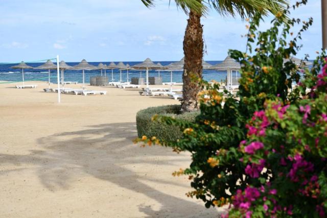 WADI LAHMY AZUR RESORT - Pláž - Pláž