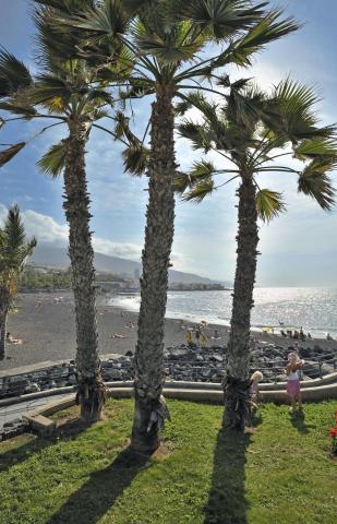 SOL PUERTO DE LA CRUZ TENERIFE - Pláž - Pláž