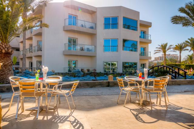 SEAGULL BEACH RESORT & CLUB - Bary - Dolphin Beach Bar