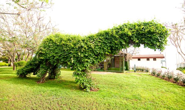 BELCONTI RESORT HOTEL - Obecné - Bungalov