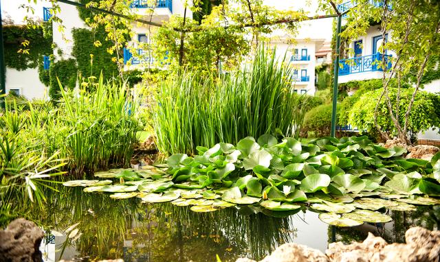 BELCONTI RESORT HOTEL - Obecné - Bungalov