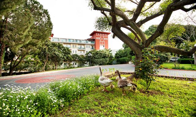 BELCONTI RESORT HOTEL - Obecné - Bungalov