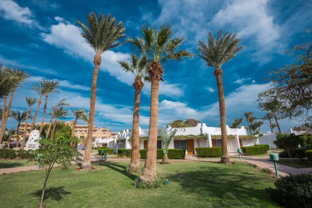 SHAMS SAFAGA BEACH RESORT - Obecné - Ostatní