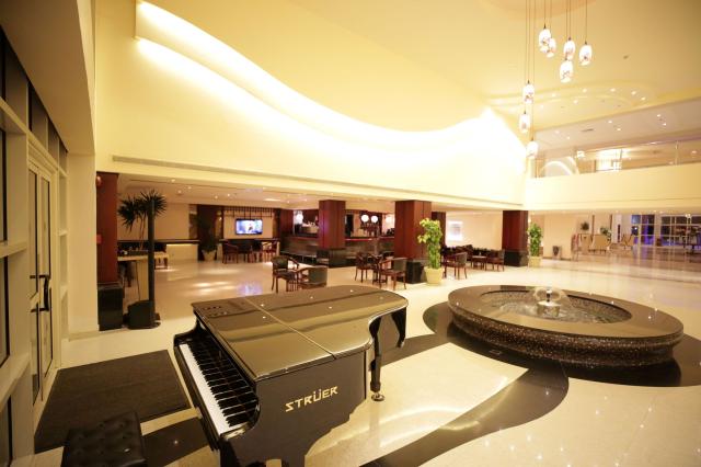 TROPITEL SAHL HASHEESH - Bary - Lobby Bar