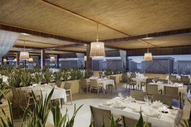 NIRVANA COSMOPOLITAN - Restaurace - THE SEA CLUB 