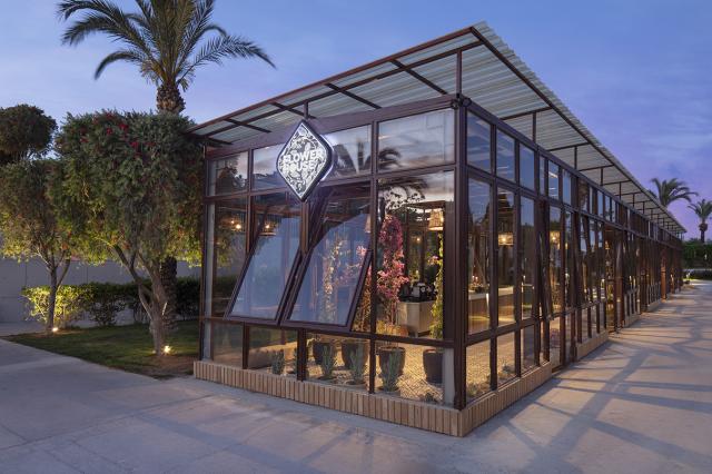 NIRVANA COSMOPOLITAN - Bary - FLOWER HOUSE