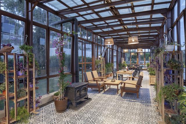 NIRVANA COSMOPOLITAN - Bary - FLOWER HOUSE