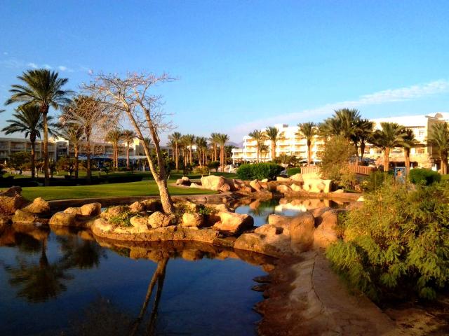 PALM ROYALE RESORT SOMA BAY - Obecné - Blok