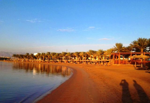 PALM ROYALE RESORT SOMA BAY - Pláž - Pláž