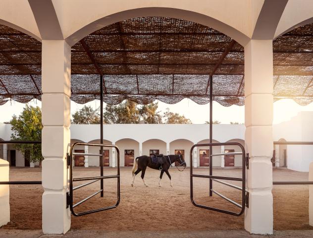 PALM ROYALE RESORT SOMA BAY - Sport - Sport