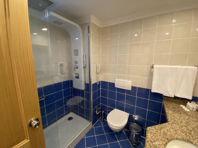 GYPSOPHILA HOLIDAY VILLAGE - Pokoje - STANDARD ROOM