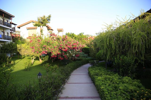 GYPSOPHILA HOLIDAY VILLAGE - Obecné - Ostatní