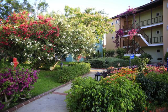 GYPSOPHILA HOLIDAY VILLAGE - Obecné - Blok