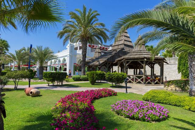 KAMELYA AISHEN CLUB - Restaurace - GOZLEME