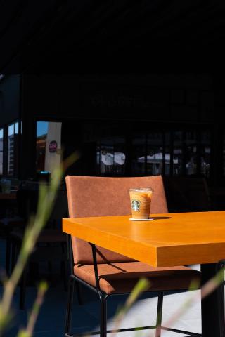 THE X BELEK - Bary - Starbuck's Outlet