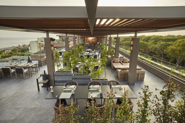 LUSSO SORGUN - Restaurace - TERRA IZAKAYA 
