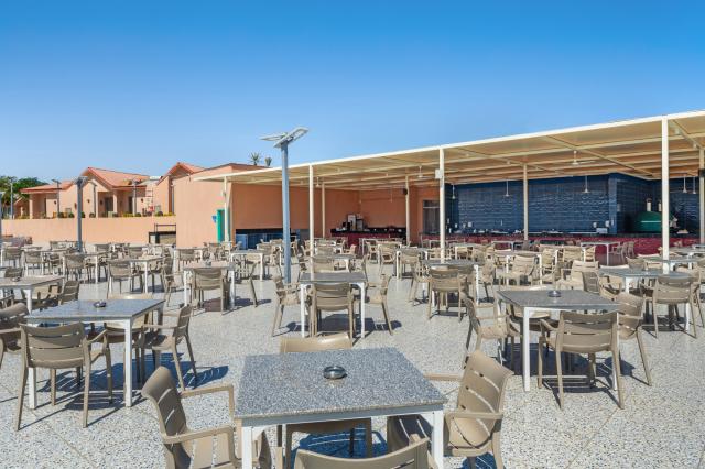 PICKALBATROS JUNGLE AQUA PARK RESORT - NEVERLAND HURGHADA - Bar