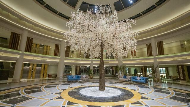 KAISOL ROMANCE RESORT SAHL HASHEESH (adults only 16+) - Obecné 