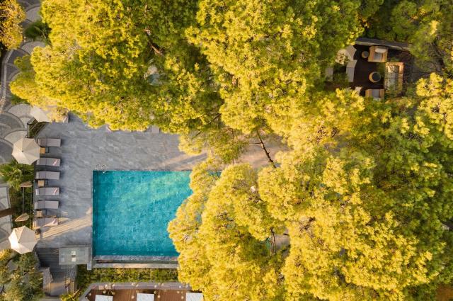 UNIQUE LIFE STYLE HOTEL - Obecné - Ostatní