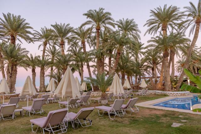 PALM BEACH - Bazény - Venkovní bazén